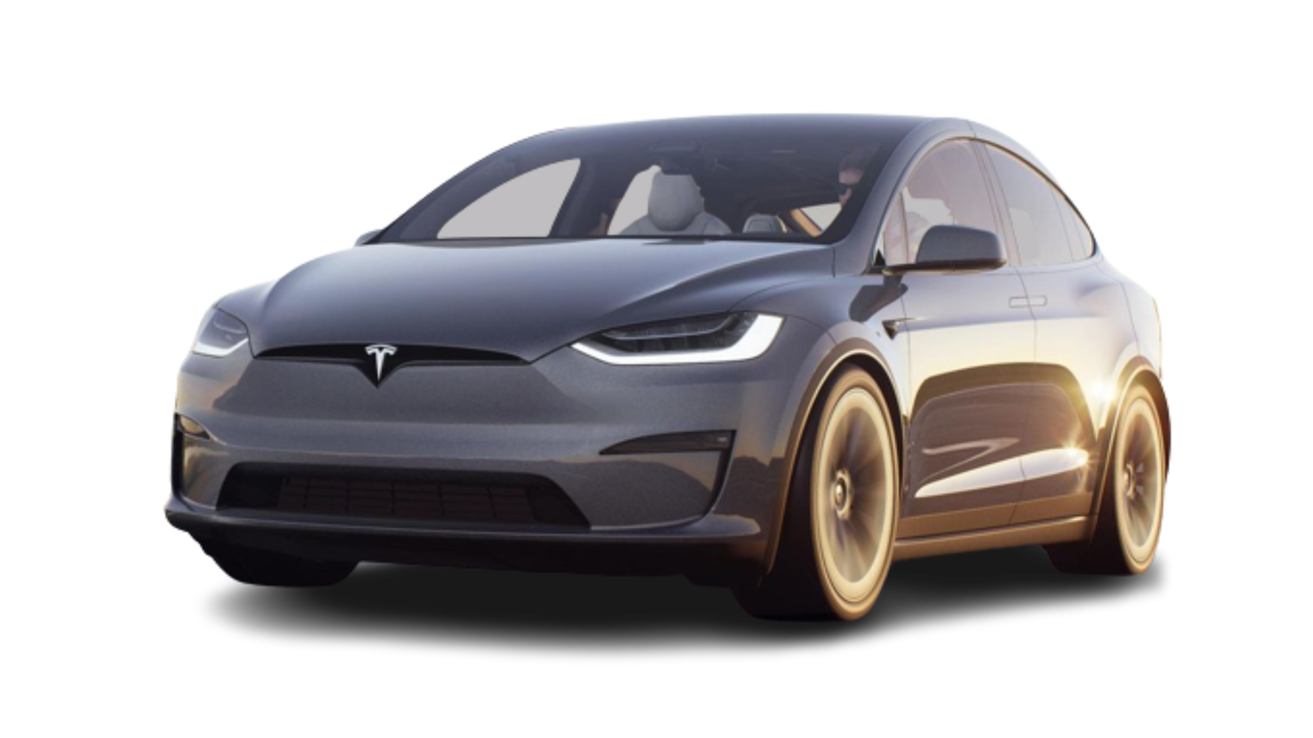 Tesla X​